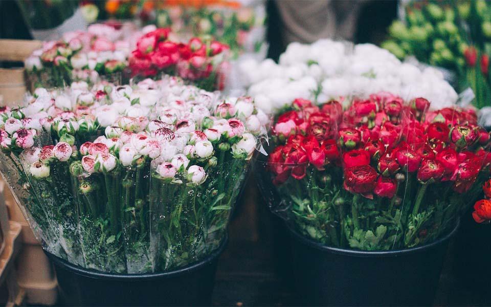 Montreal florists