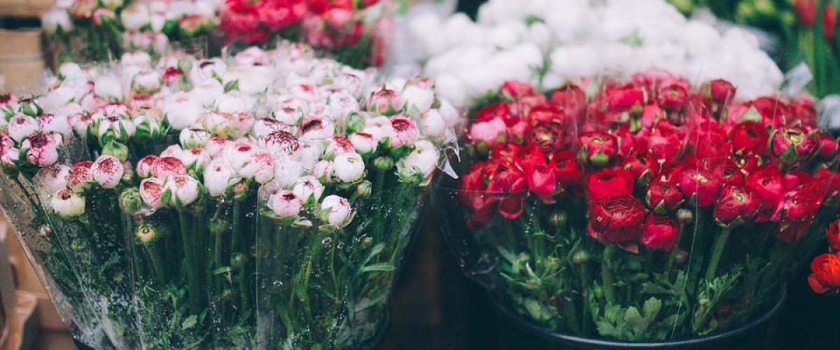 Montreal florists